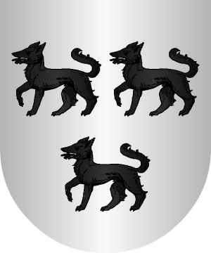 ESCUDO SIGUIENTE