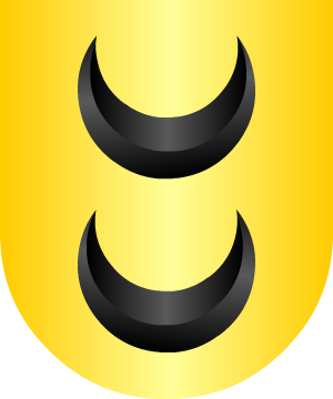 ESCUDO ALEATORIO