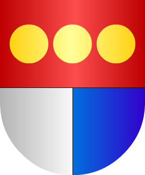ESCUDO ALEATORIO