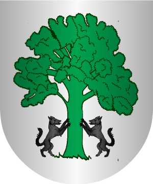 ESCUDO PRECEDENTE