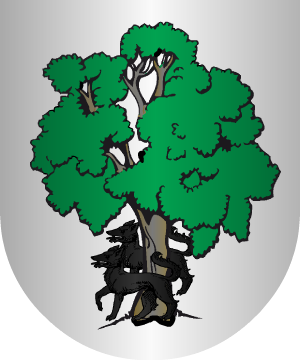 ESCUDO SIGUIENTE