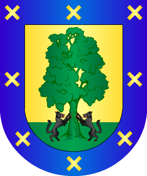 ESCUDO ALEATORIO