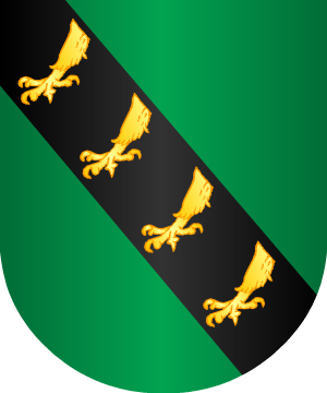 ESCUDO SIGUIENTE