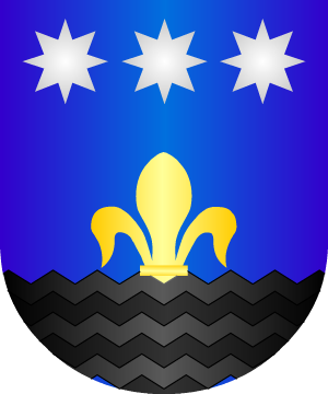 ESCUDO ALEATORIO