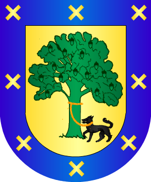 ESCUDO SIGUIENTE