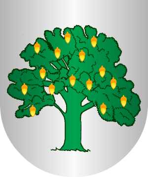 ESCUDO SIGUIENTE