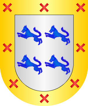 ESCUDO SIGUIENTE