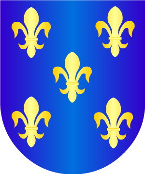 ESCUDO PRECEDENTE