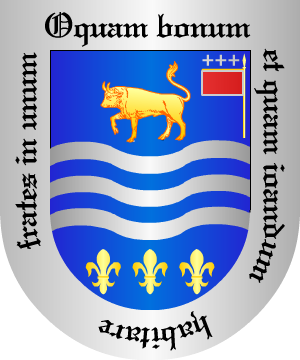 ESCUDO ALEATORIO