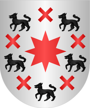 ESCUDO ALEATORIO