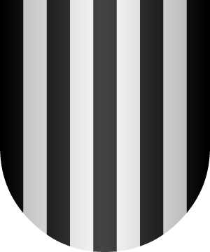 ESCUDO ALEATORIO