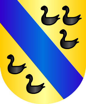 ESCUDO ALEATORIO