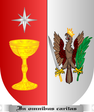 ESCUDO ALEATORIO