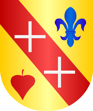 ESCUDO PRECEDENTE