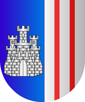 ESCUDO ALEATORIO