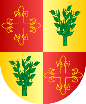 ESCUDO SIGUIENTE