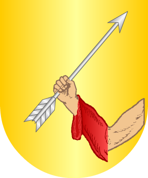 ESCUDO ALEATORIO