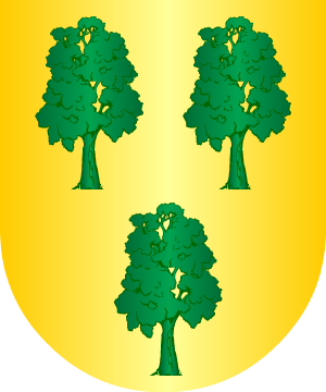 ESCUDO SIGUIENTE