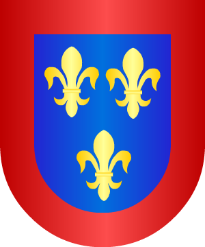 ESCUDO ALEATORIO
