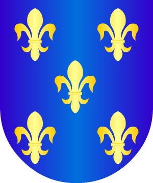 ESCUDO ALEATORIO
