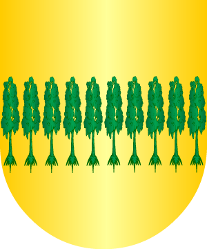 ESCUDO ALEATORIO