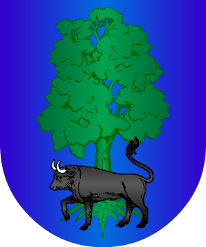 ESCUDO ALEATORIO