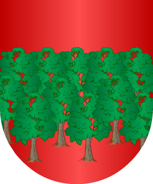 ESCUDO ALEATORIO