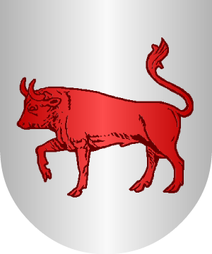 ESCUDO SIGUIENTE