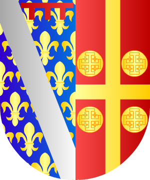 ESCUDO SIGUIENTE