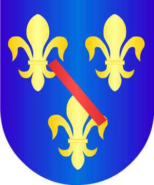ESCUDO SIGUIENTE