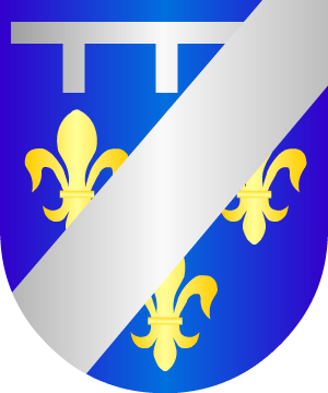 ESCUDO SIGUIENTE