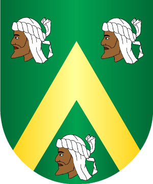 ESCUDO ALEATORIO