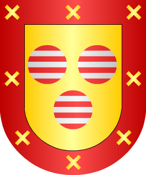 ESCUDO SIGUIENTE