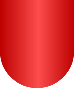ESCUDO SIGUIENTE
