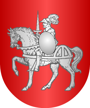 ESCUDO PRECEDENTE
