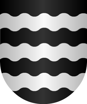 ESCUDO SIGUIENTE