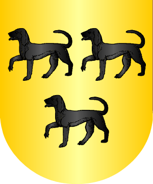 ESCUDO SIGUIENTE