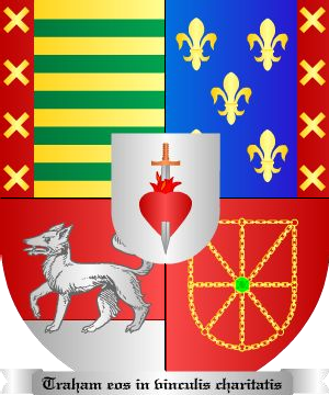 ESCUDO ALEATORIO