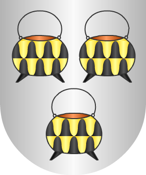 ESCUDO ALEATORIO