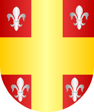 ESCUDO ALEATORIO
