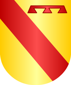 ESCUDO SIGUIENTE