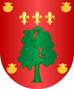 ESCUDO SIGUIENTE