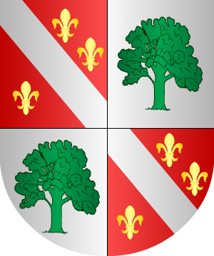 ESCUDO PRECEDENTE