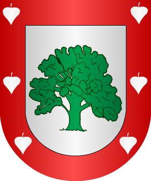 ESCUDO SIGUIENTE