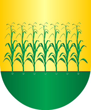 ESCUDO SIGUIENTE