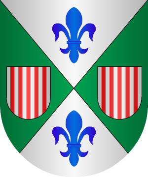 ESCUDO SIGUIENTE