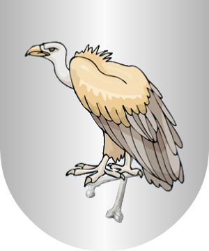 ESCUDO PRECEDENTE
