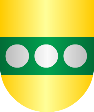 ESCUDO ALEATORIO