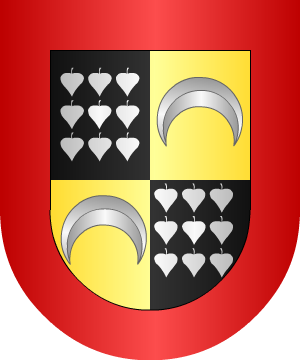 ESCUDO SIGUIENTE