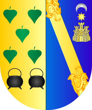 ESCUDO ALEATORIO